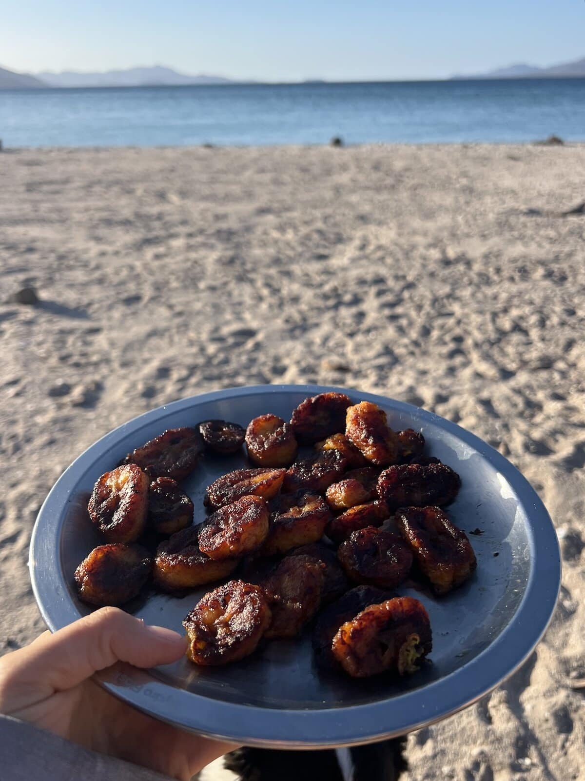 Fried plantains on the Hydroflask camp plate with a beach in the background