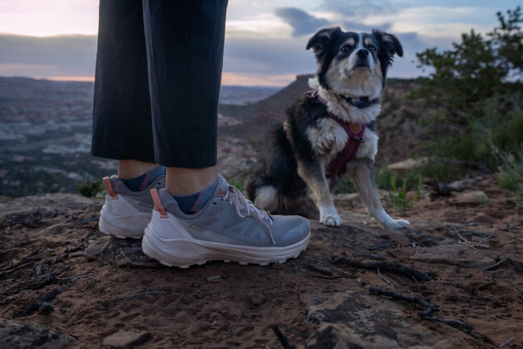 Closeup of Oboz Katabatic LT shoes with a small dog in the background